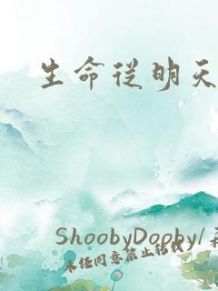 生命从明天开始