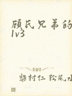 顾氏兄弟的南宁1v3