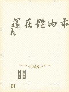 还在体内乖吃饭h