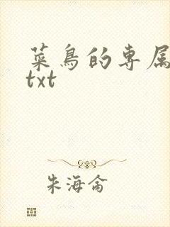 菜鸟的专属大神txt