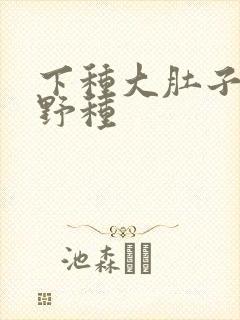 下种大肚子怀孕野种
