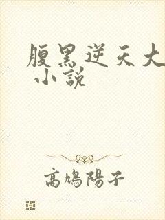 腹黑逆天大小姐 小说