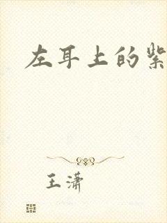 左耳上的紫水晶