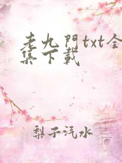 老九门txt全集下载