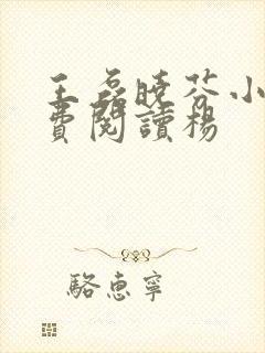 王磊晓芬小说免费阅读杨