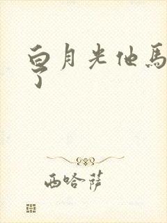 白月光他马甲掉了