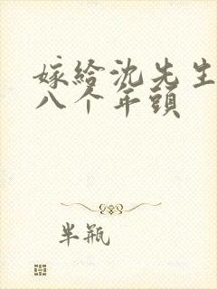 嫁给沈先生的第八个年头