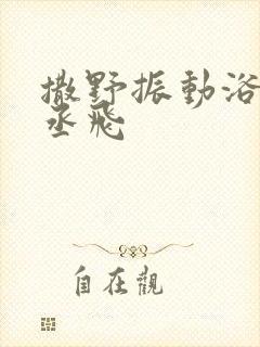 撒野振动浴缸车丞飞