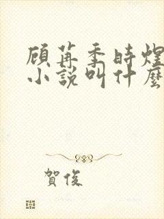 顾苒季时煜电竞小说叫什么名字