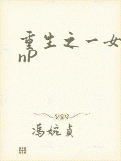 重生之一女九龙nP