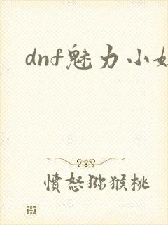 dnf魅力小妞