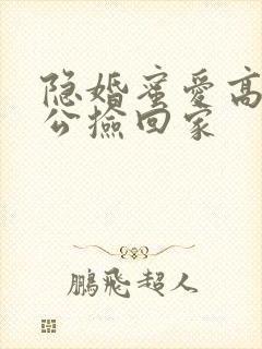 隐婚蜜爱高冷老公捡回家