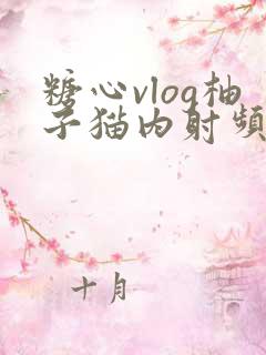 糖心vlog柚子猫内射频
