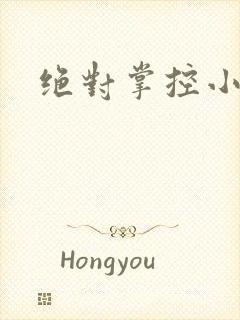 绝对掌控小说