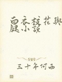 白衣校花与大长腿小说