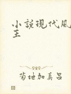 小说现代风流霸主
