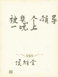 被几个领导玩弄一晚上