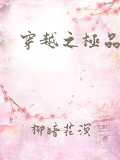 穿越之极品皇帝