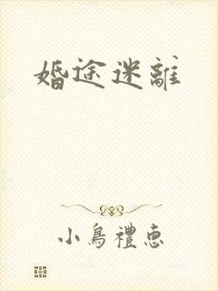 婚途迷离