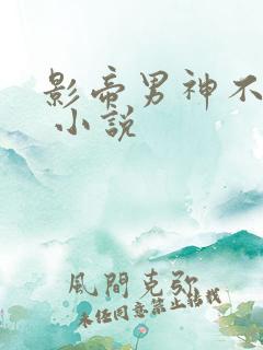 影帝男神不节制 小说