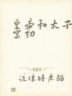 皇帝和太子妃h云初