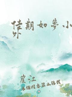 佳期如梦小说番外