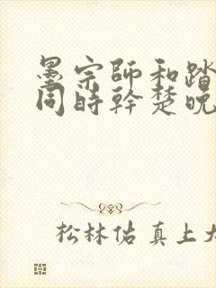 墨宗师和踏仙君同时干楚晚宁