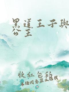 黑道王子与冰山公主