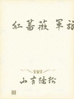 红蔷薇 军旅文