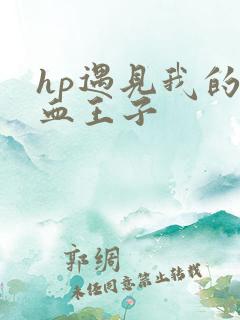 hp遇见我的混血王子