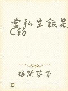 当私生饭是要挨C的