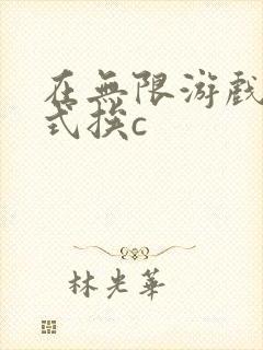 在无限游戏里花式挨c