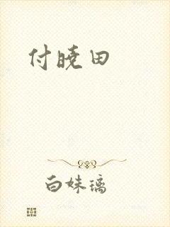 付晓田
