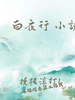白夜行 小说