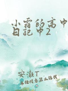 小霜的高中成长日记中2