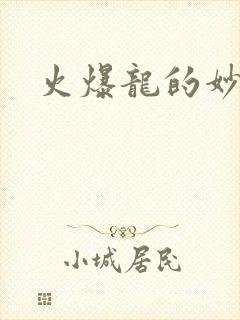 火爆龙的妙管家