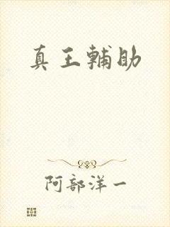 真王辅助