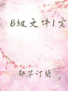 B级文件1完整