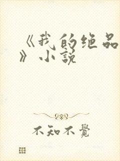 《我的绝品韵母》小说