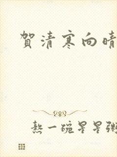 贺清寒向晴小说