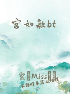 宫如敏bt