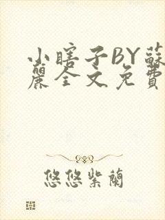 小瞎子BY苏玛丽全文免费笔趣阁