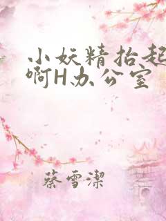 小妖精抬起臀嗯啊H办公室