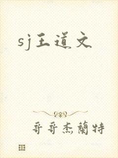 sj王道文