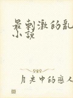 最刺激的乱子伦小说