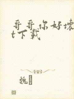 哥哥你好坏txt下载