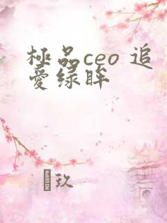 极品ceo 追爱绿眸