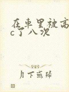 在车里被高潮被c了八次