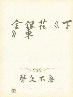 金银花《下厨房》车