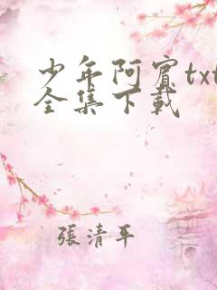 少年阿宾txt全集下载